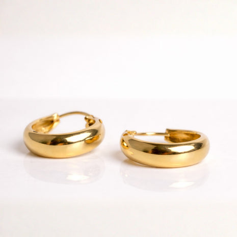 Tiny Golden Hoop Earrings