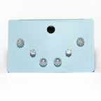 Silver Coral Stud Set