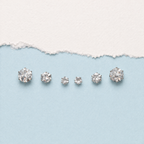 Silver Diamant Stud Set